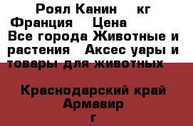  Роял Канин 20 кг Франция! › Цена ­ 3 520 - Все города Животные и растения » Аксесcуары и товары для животных   . Краснодарский край,Армавир г.